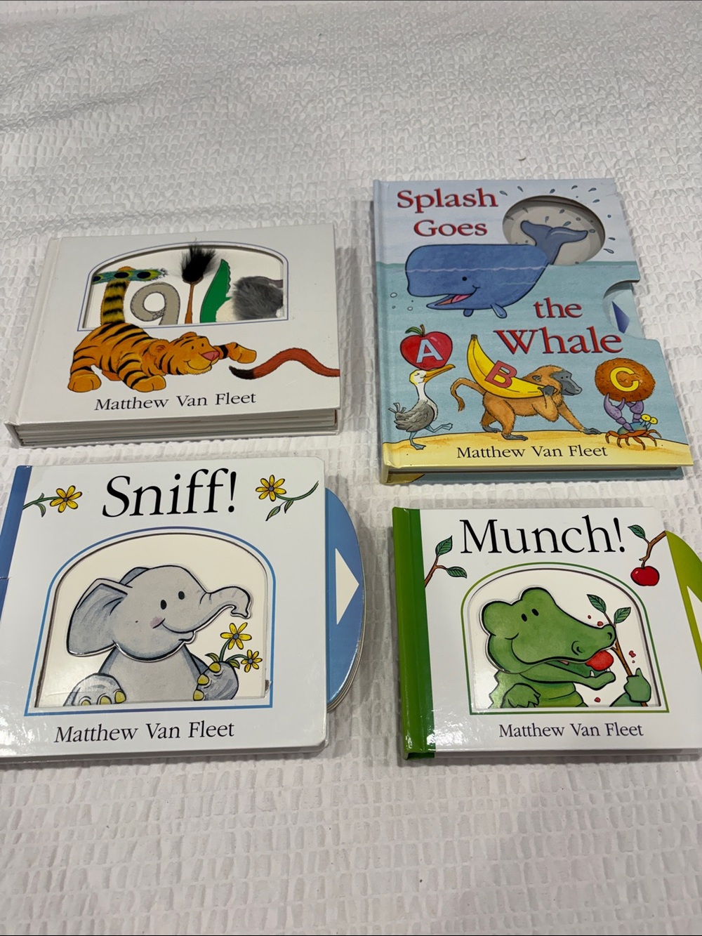 Matthew Van Fleet Set of 4 Interactive Books for Toddlers